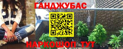 сатива Обнинск