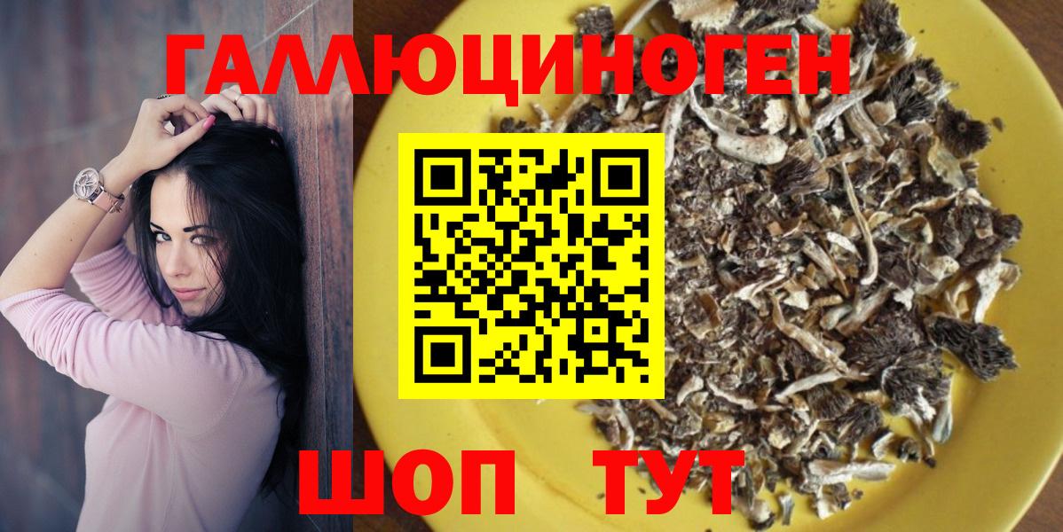 Галлюциногенные грибы мухоморы Сунжа