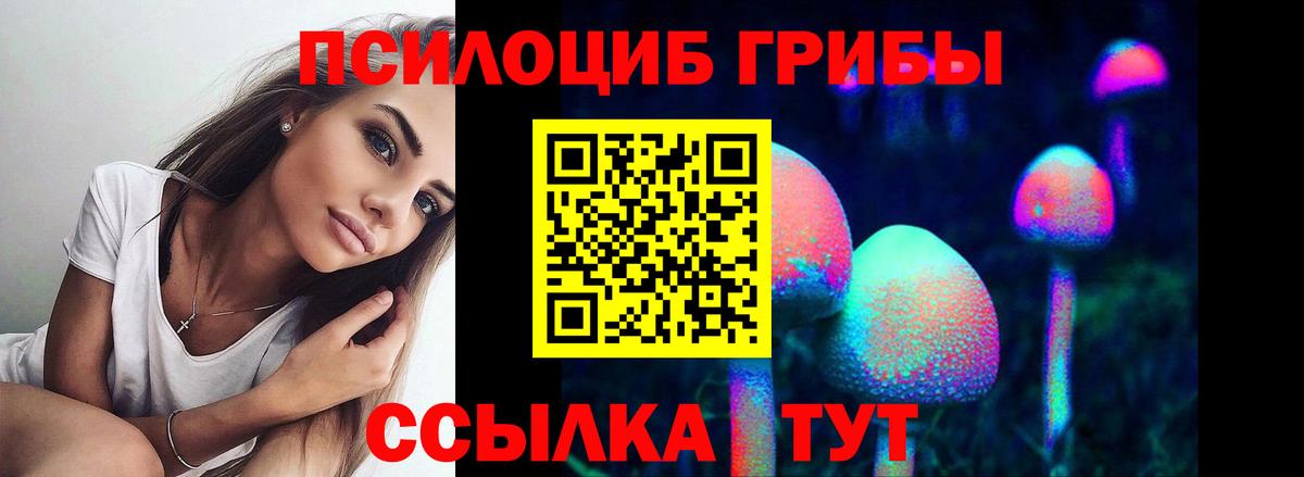 Псилоцибиновые грибы Psilocybine cubensis  продажа наркотиков  Сунжа  Вход с VPN 